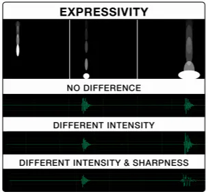 Expressivity principle: falling objects with no difference, different intensity, and intensity plus sharpness